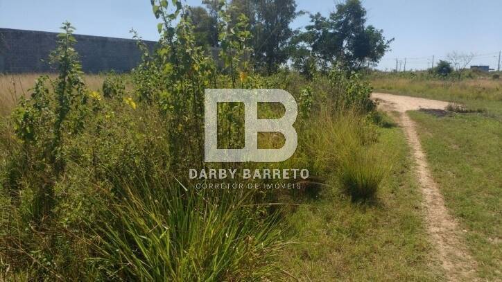 Terreno à venda, 900m² - Foto 7